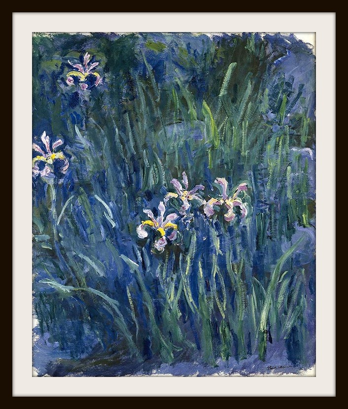 iris-1914-17-a